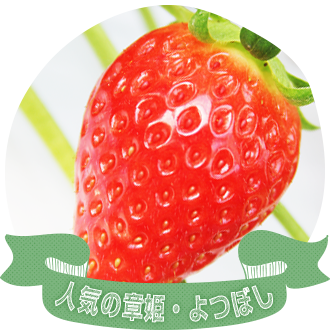 美味しいあきひめ